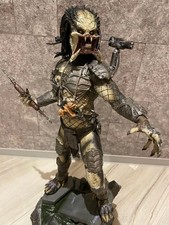 Predator Wolf Predator