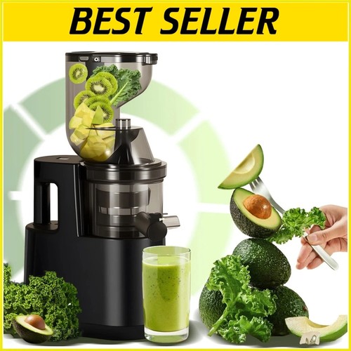 500w cold press juicer machine - 500w,