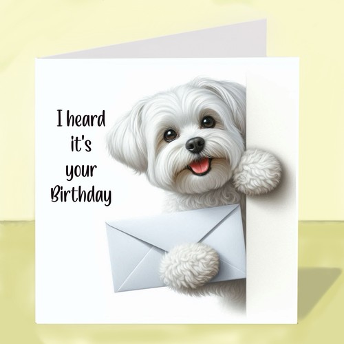 Maltese dog birthday - maltese, greetings