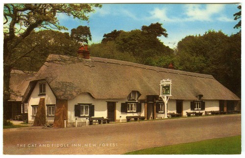 1970 postcard the cat - 1970's,