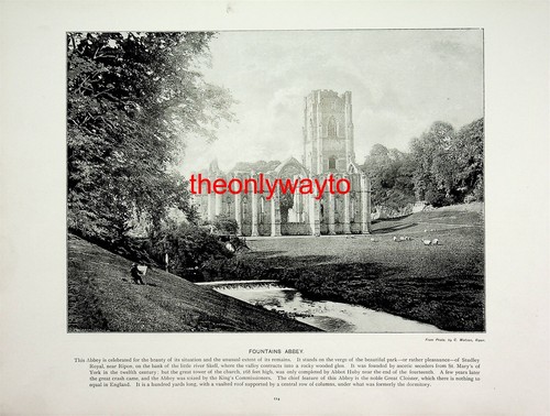 Fountains abbey yorkshire - fountains, abbey,