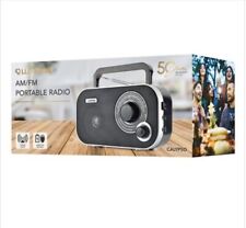 Portable Radio Mains or