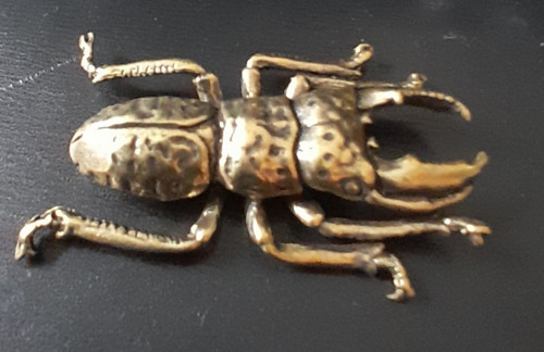Kabutomushi stag beetle - kabutomushi,