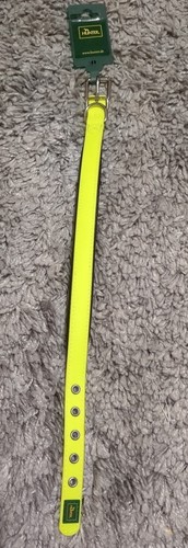 Hunter dog collar - dog, neon