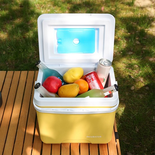 Small cool box - small, insulated