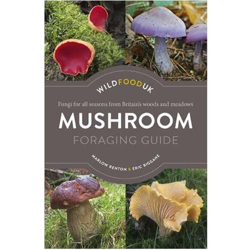 Wild food mushroom foraging - wild,