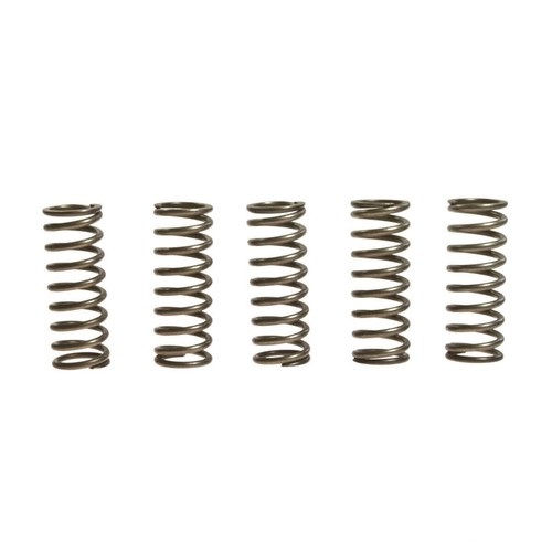 Ebc clutch springs - rinf., +10