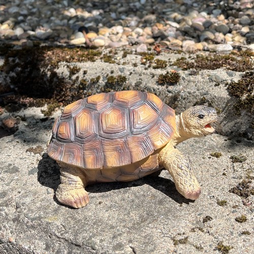 Tortoise garden ornaments and - tortoise,