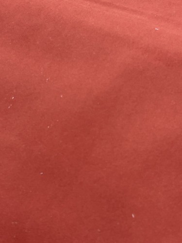 Ashley manor coral velveteen - coral,