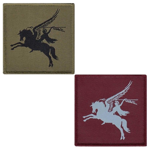 Regulation para air assault - para/16,