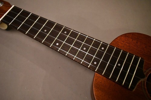 Luna 2sp used mahogany - luna, mv-2sp