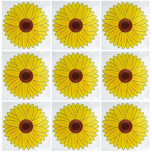 Fly stickers window traps - fly,