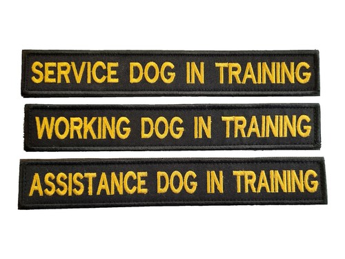 Service assistance - k9, /