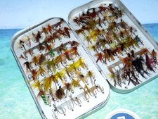 traditional trout & grayling