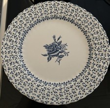 Royal victoria vintage rose - victoria,