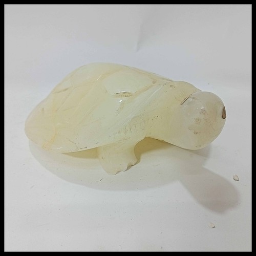 Onyx turtle pakistani - onyx, turtle/pakistani