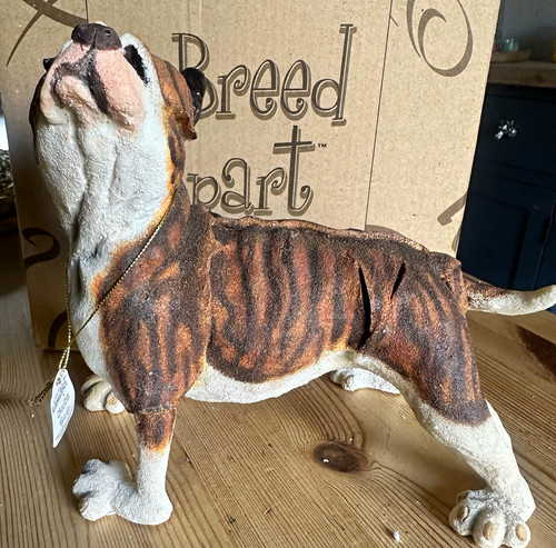Breed apart sparkle bulldog - apart,
