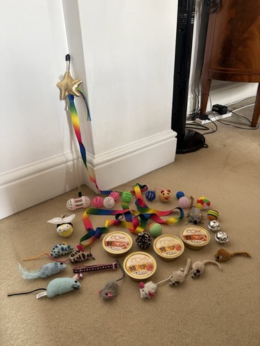 Large cat toy bundle toys - toy,