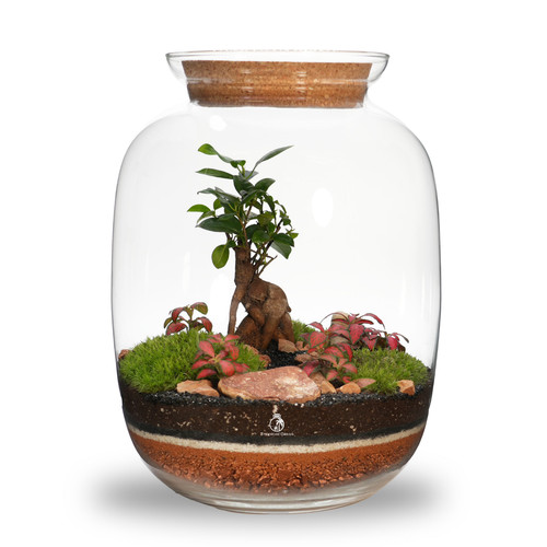 Artisan range diy - diy, bonsai