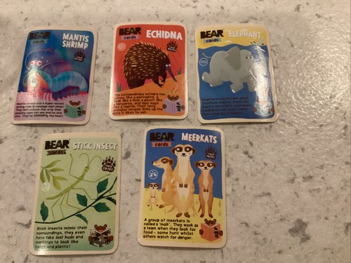 Yoyo bear card bundle - bear,