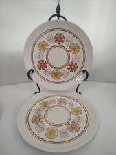 1970's USA Xtra-Large Ironstone Straw Flower Dinner Plates Set of 2