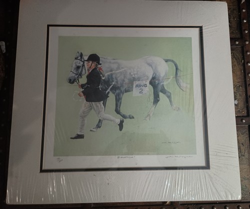 Judi kent pyrah numbered - numbered, horse