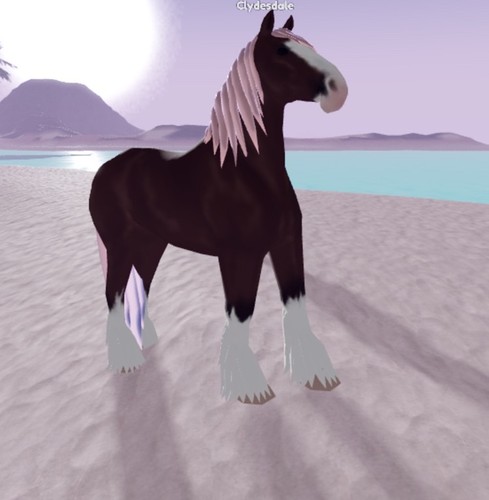Wild horse islands iuh - wild,