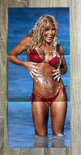 Torrie wilson poster wwe - torrie,