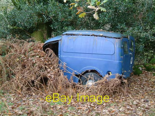 Photo 6x4 old - photo, workhorse