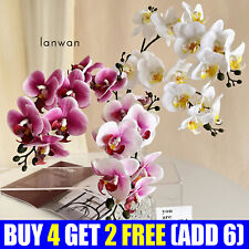 3D Phalaenopais Artificial