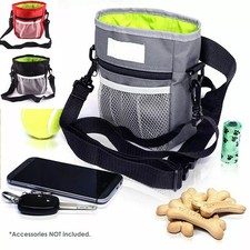 Dog Walking Training Obedience