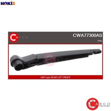 WIPER ARM WINDOW CLEANING