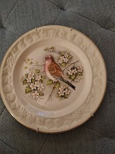 ROYAL WORCESTER Bird Linnet