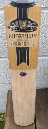 Newbery series player - series,