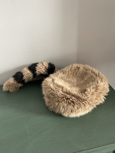 Disney parks coon - coon, skin