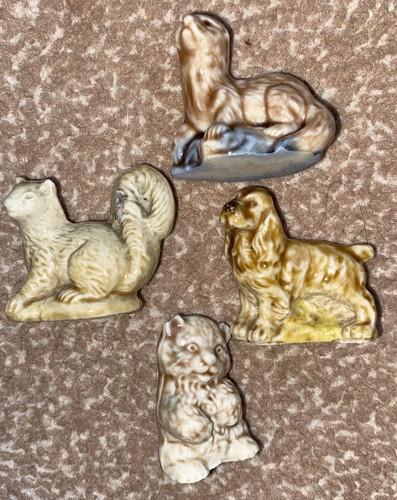 Spaniel otter squirrel kitten - spaniel,