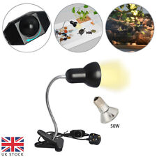 UVA + UVB Reptile Heat Light