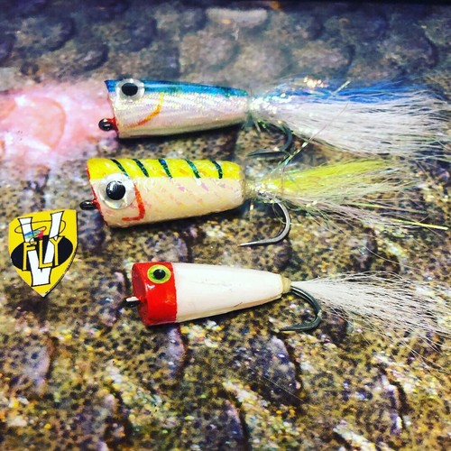 Fly mylar popper surface - v,