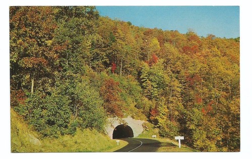 North carolina postcard - carolina, nc