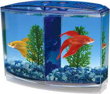 Penn-Plax Twin Betta Bow-Front