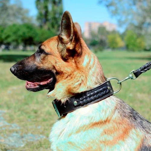 Dog collar leather black - collar, k9