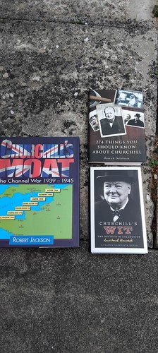 Winston churchill hardback - winston,