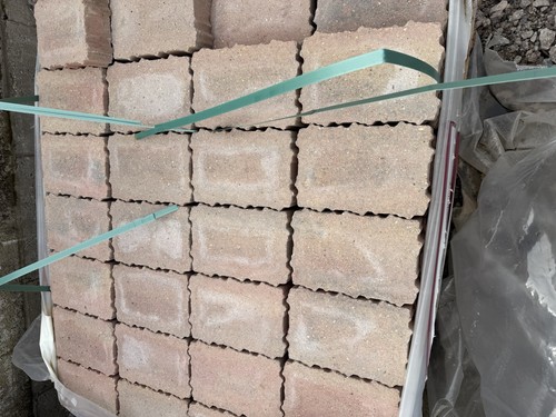 Tegula priora 160 - 160,