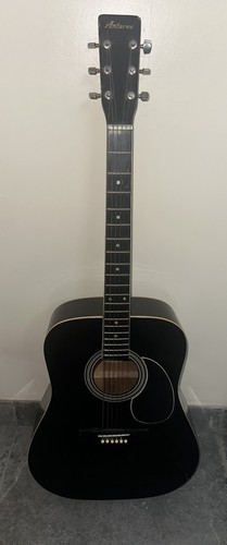 Antares acoustic guitar - antares,