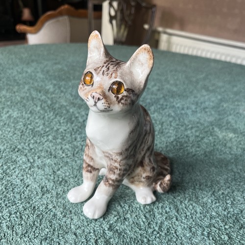 Winstanley tabby cat size - , 2
