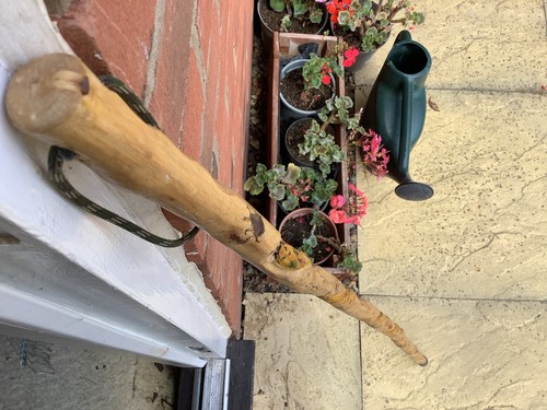 Hiking stick with snake - hiking,