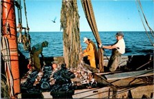 VTG Commercial Fishing Boat