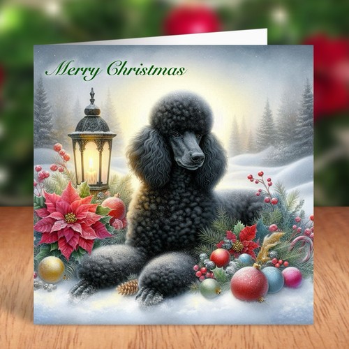 Standard poodle dog christmas - poodle,