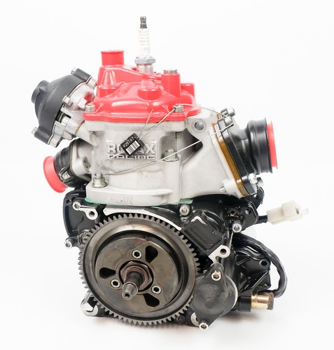Senior rotax max - senior, jag