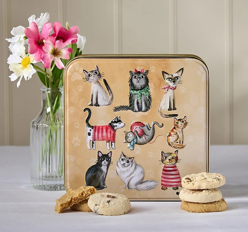 Cats jumpers tin with - cats,